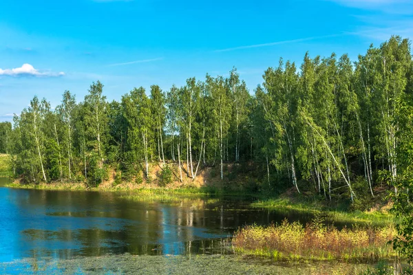 Beautiful Scenery Small Lake Sunny Summer Day Russia — Stock Photo, Image