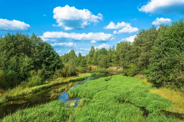 Прекрасний Літній Пейзаж Маленькою Річкою Кумульськими Хмарами Тлі Блакитного Неба — стокове фото