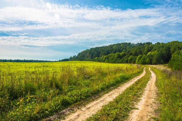 Landscape Large Field Dirt Road Sunny Autumn Day Royalty Free Stock Photos