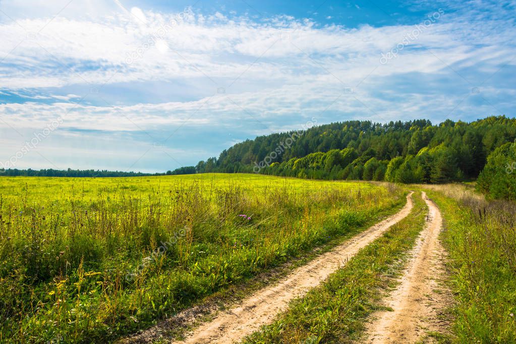 Поле С Дорогой Фото