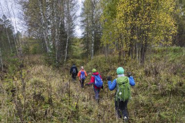 Küçük bir grup turist yüksek çimlerin yürüyor.