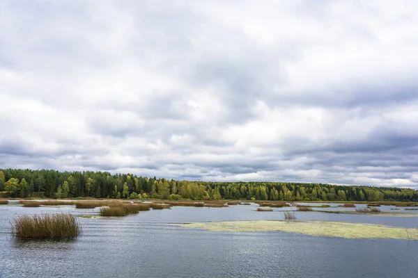 Осінній Пейзаж Річки Хмарного Неба Похмурий День Росія — стокове фото