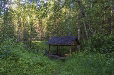 Kutsal bir bahar onuruna Peygamber John öncüsü, Baptist Rab, Tverdislevo Köyü, Soligalichsky bölgesi, Kostroma region, Rusya Federasyonu.