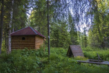 Kutsal bahar Aziz Basil, köy Klimitino, Sudislavsky district, Kostroma region, Rusya Federasyonu.