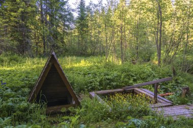 Kutsal bahar Aziz Basil, köy Klimitino, Sudislavsky district, Kostroma region, Rusya Federasyonu.