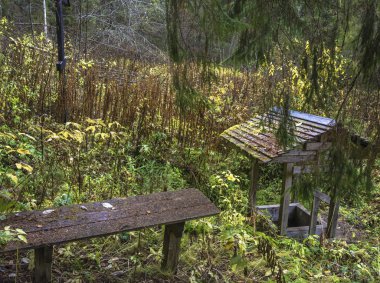 Tanrı'nın annesi varsayım Sovetsky Köyü, Kologrivsky bölgesi, Kostroma region, Rusya Federasyonu yakınındaki bir sonbahar günü onuruna kutsal bahar.