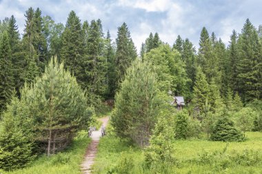 Kutsal bahar St. Irinarch münzevi, Borisoglebsky District, Yaroslavl bölgesi, Rusya Federasyonu.