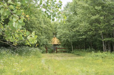 Büyük şehit Varvara Derevenky Köyü, Uglich District, Yaroslavl bölgesi, Rusya yakın kutsal baharında. 