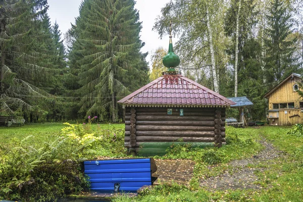 Source Sainte Adrian Pochekhonsky Près Village Zadnevo District Pochekhonsky Région — Photo