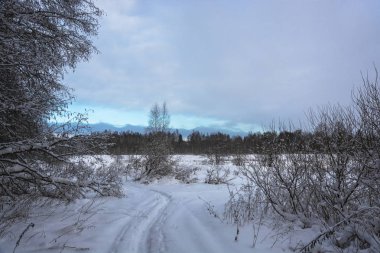 Güzel kış manzara ağaçlar karla kaplı bir bulutlu gökyüzü ile soğuk bir Aralık günü ile.