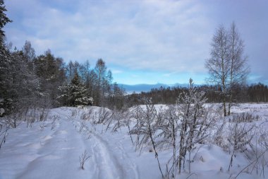 Güzel kış manzara ağaçlar karla kaplı bir bulutlu gökyüzü ile soğuk bir Aralık günü ile.