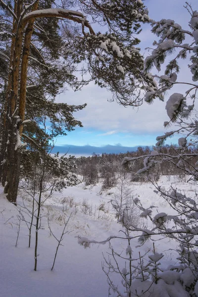 Güzel Kış Manzara Ağaçlar Karla Kaplı Bir Bulutlu Gökyüzü Ile — Stok fotoğraf