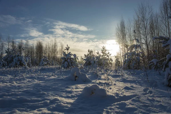 Hermoso Paisaje Nieve Invierno Los Rayos Del Sol Poniente Día — Foto de Stock