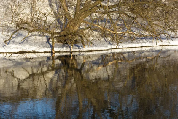 美丽的树木和雪在镜子里光滑的冲浪反射 — 图库照片