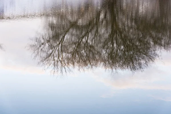 Schöne Reflexion der Bäume im blauen Spiegel glatte Oberfläche — Stockfoto