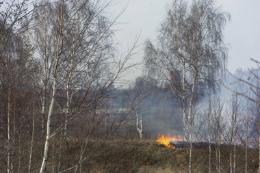 Erken ilkbaharda kuru geçen yılki çim yasadışı yanan. 