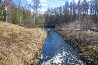 Küçük bir hızlı nehir ve bankalar büyümüş zekâ ile Bahar manzara