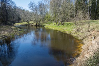 Bir bahar güneşli bir günde küçük bir sessiz nehir ile Manzara. 