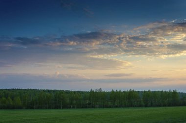 Parlak bulutlar ve yeşil orman ile güzel akşam manzara.