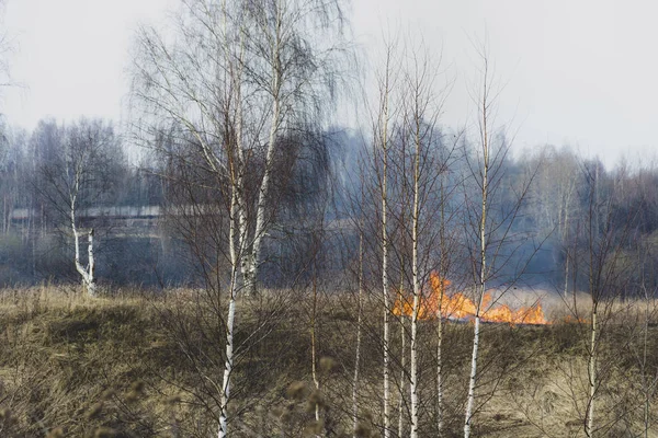 Nelegální spalování suchého trávníku loni na jaře. — Stock fotografie