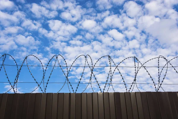 Metal fence from a sheet profile with barbed wire against a clou — Stock Photo, Image