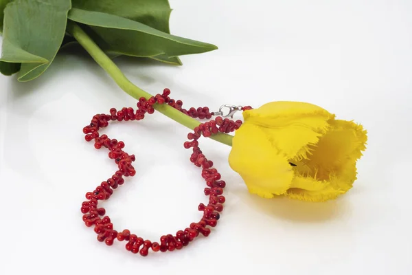 Leuchtend rote Perlen und gelbe Tulpe mit grünen Blättern. — Stockfoto