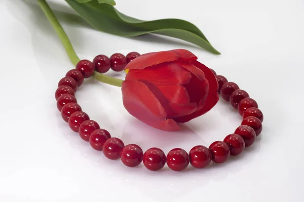 Leuchtend rote Perlen und eine rote Tulpe mit grünen Blättern. — Stockfoto