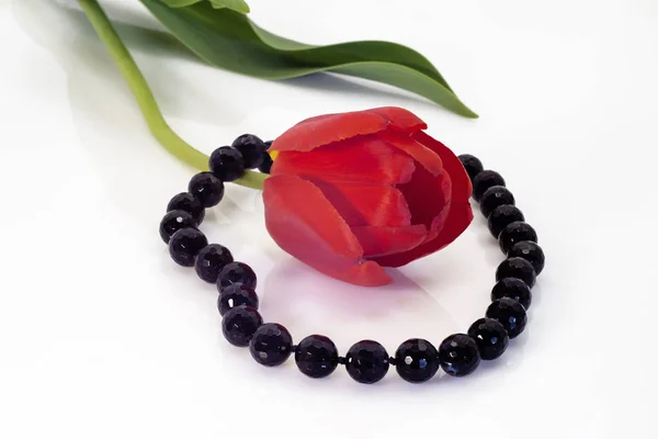 Leuchtend schwarze Perlen und eine rote Tulpe mit grünen Blättern. — Stockfoto