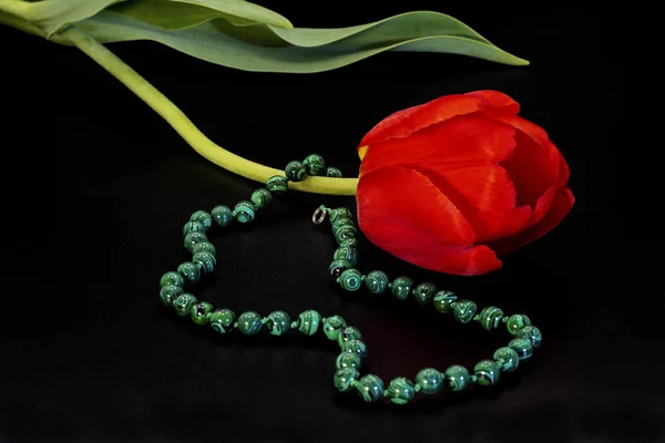 Hellgrüne Perlen und eine rote Tulpe mit grünen Blättern. — Stockfoto