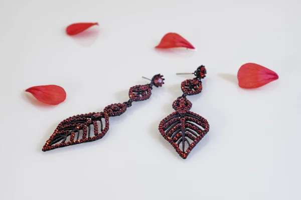 Zwei dunkle lange Ohrringe mit leuchtend roten Steinen und rotem Blumenhaustier — Stockfoto