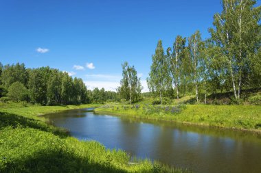 Yeşil plajları ve huş bahçeleri ile küçük bir su kanalı. 