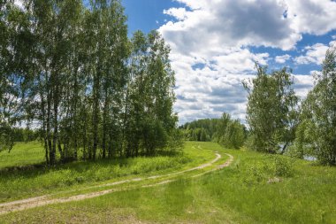 Güneşli bir yaz gününde nehir kıyısında dolambaçlı bir toprak yol.