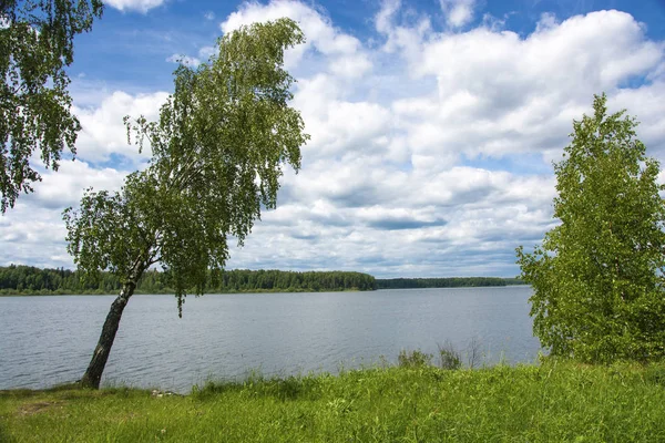 Bela margem do rio Uvod com um vidoeiro inclinado em um verão — Fotografia de Stock