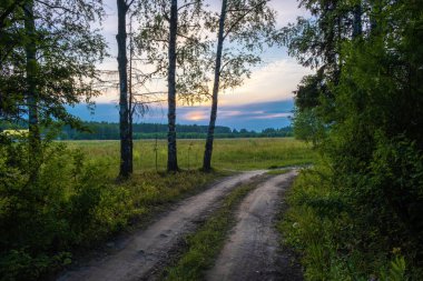 Ayar güneşin arka aydınlatmalı Dirt orman yolu. 