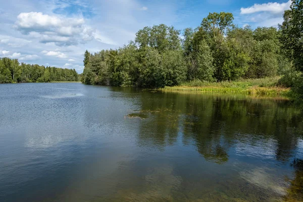 A small lake framed by large green trees and bushes. — Stock Photo, Image