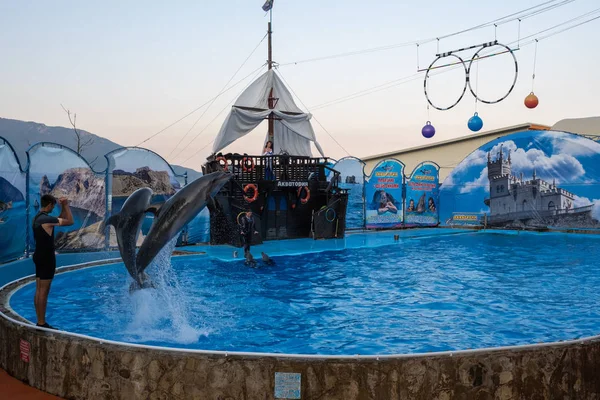 Twee dolfijnen springen hoog uit het water in een blauw water zwembad, 09 — Stockfoto