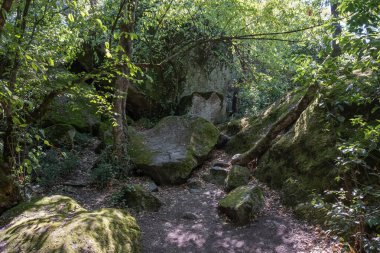 Vorontsov parkının romantik köşesinde büyük bir kaos var.