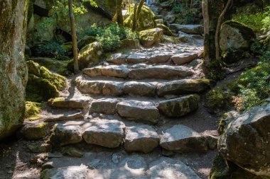 Romantic corner in the Vorontsov park. Small chaos with a stone 