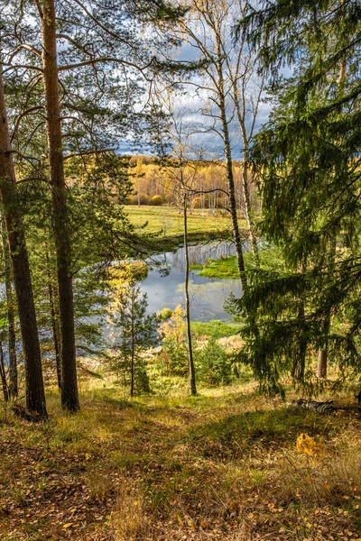 Вид на реку с крутого берега через хвойные деревья . — стоковое фото