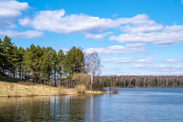 Pemandangan Musim Semi Waduk Uvodsky Dengan Hutan Pinus Dan Hutan — Stok Foto