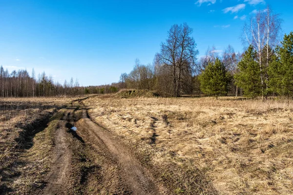 春の晴れた日に森の中にフィールドを通って農村部の未舗装道路 ロシア — ストック写真