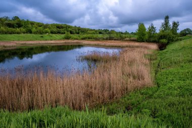 Bulutlu bir günde çimenlerin ve ağaçların yeşil arka planında geçen yılki kuru çimenlerin çerçevelediği küçük bir göl.. 