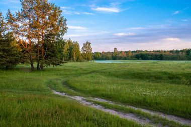 Ormanın kıyısındaki ovalarda akşam güneşinde mavi sisli güzel bir yaz manzarası..