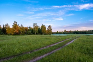 Ormanın kıyısındaki ovalarda akşam güneşinde mavi sisli güzel bir yaz manzarası..