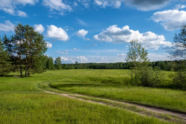 Une Route Sinueuse Traversant Champ Dans Une Forêt Beau Ciel — Photo