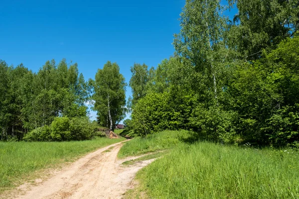 Camino Rural Que Sube Las Casas Través Abedules Día Soleado — Foto de Stock