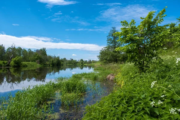 Ruhiges Wasser Des Flusses Teza Mit Reflexion Weißer Wolken Und — Stockfoto