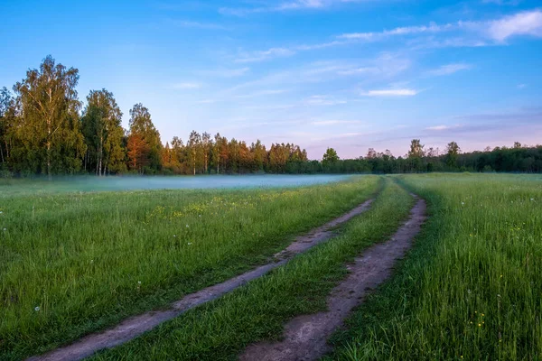 Piękny Letni Krajobraz Niebieską Mgłą Nizinach Lasu Wieczornym Słońcu Obrazek Stockowy