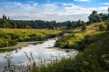 Akşam güneşinde Sunzha Nehri 'nde yetişen küçük bir nehir, Ivanovo bölgesi, Rusya. 