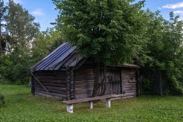 Stará Venkovská Stodola Dřevěnou Lavicí Zeleným Stromem Vesnice Krasnye Gory — Stock fotografie